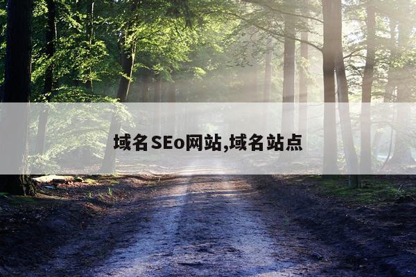 域名SEo网站,域名站点