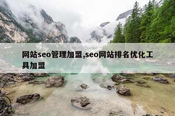 网站seo管理加盟,seo网站排名优化工具加盟