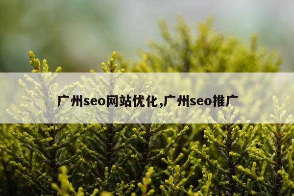 广州seo网站优化,广州seo推广
