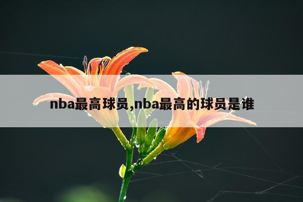 nba最高球员,nba最高的球员是谁