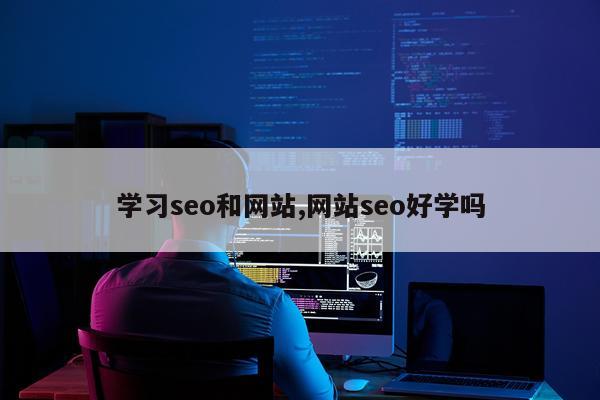 学习seo和网站,网站seo好学吗