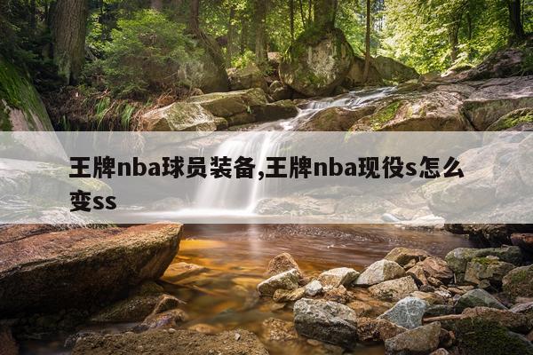 王牌nba球员装备,王牌nba现役s怎么变ss