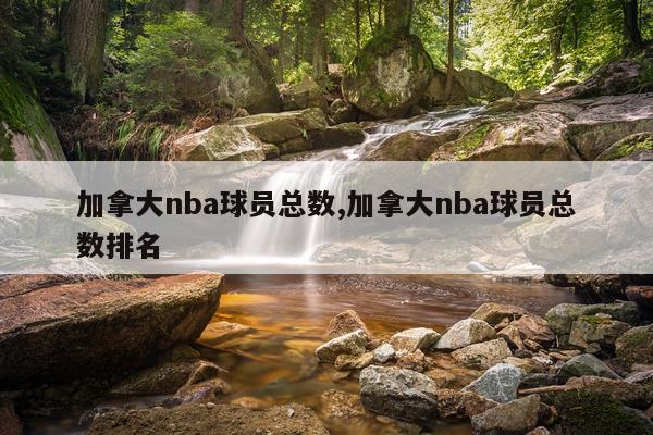 加拿大nba球员总数,加拿大nba球员总数排名