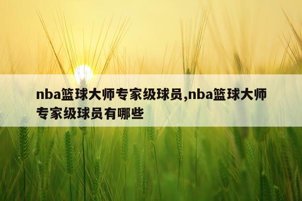 nba篮球大师专家级球员,nba篮球大师专家级球员有哪些