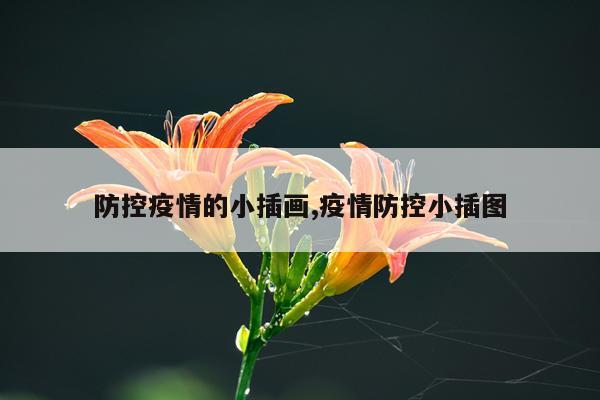 防控疫情的小插画,疫情防控小插图