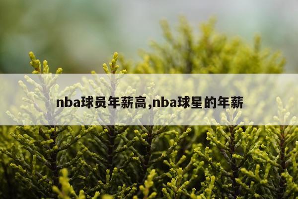 nba球员年薪高,nba球星的年薪