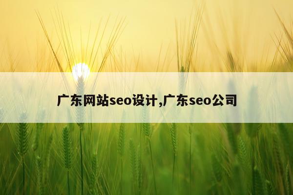 广东网站seo设计,广东seo公司