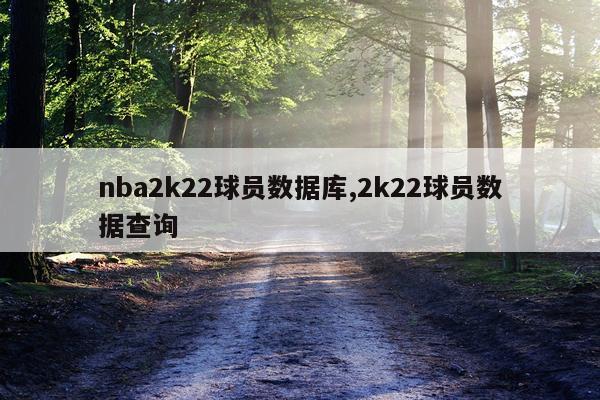 nba2k22球员数据库,2k22球员数据查询