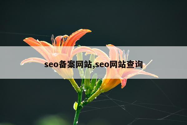 seo备案网站,seo网站查询