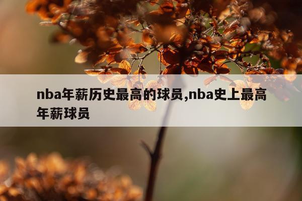 nba年薪历史最高的球员,nba史上最高年薪球员