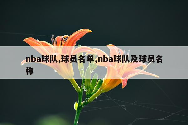 nba球队,球员名单,nba球队及球员名称