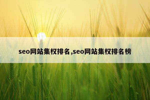 seo网站集权排名,seo网站集权排名榜