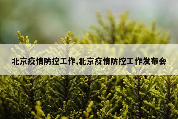 北京疫情防控工作,北京疫情防控工作发布会