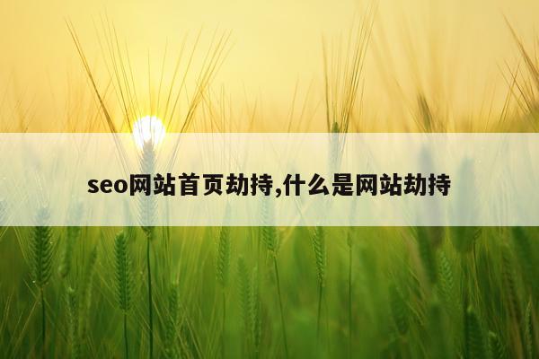 seo网站首页劫持,什么是网站劫持