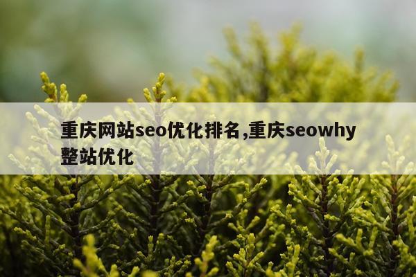 重庆网站seo优化排名,重庆seowhy整站优化