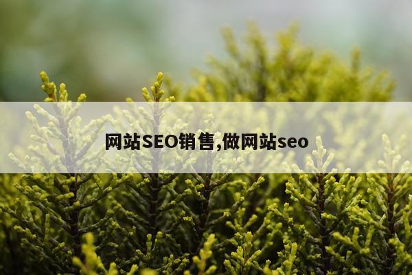 网站SEO销售,做网站seo