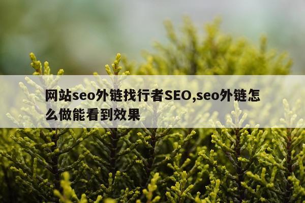 网站seo外链找行者SEO,seo外链怎么做能看到效果