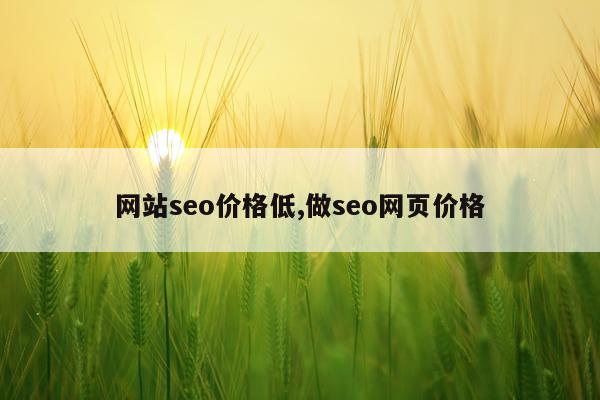 网站seo价格低,做seo网页价格