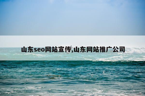 山东seo网站宣传,山东网站推广公司