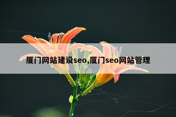 厦门网站建设seo,厦门seo网站管理
