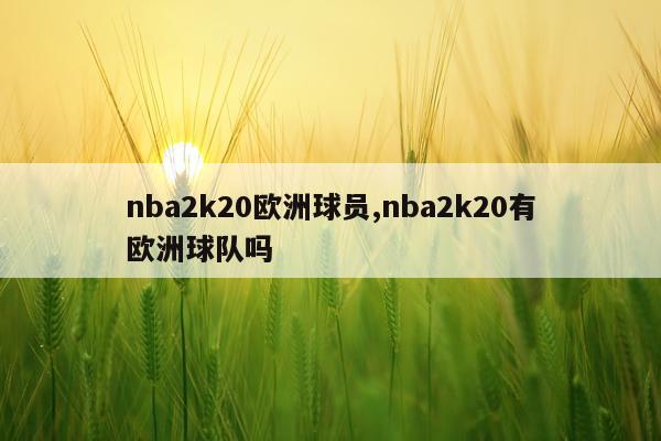 nba2k20欧洲球员,nba2k20有欧洲球队吗