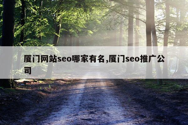 厦门网站seo哪家有名,厦门seo推广公司