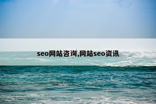 seo网站咨询,网站seo资讯