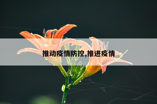 推动疫情防控,推进疫情