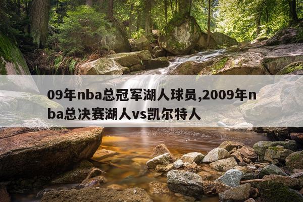 09年nba总冠军湖人球员,2009年nba总决赛湖人vs凯尔特人