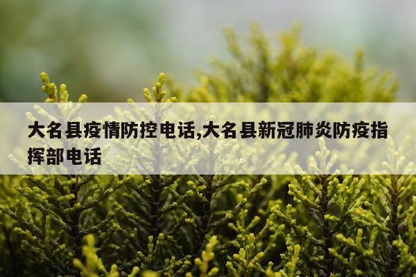 大名县疫情防控电话,大名县新冠肺炎防疫指挥部电话