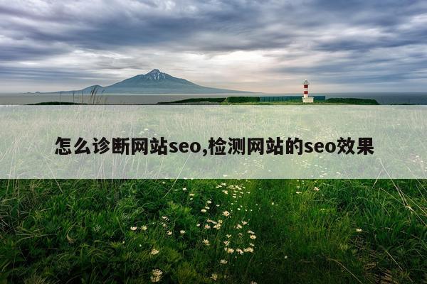 怎么诊断网站seo,检测网站的seo效果
