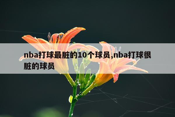 nba打球最脏的10个球员,nba打球很脏的球员