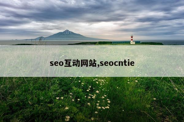 seo互动网站,seocntie