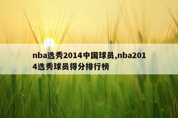nba选秀2014中国球员,nba2014选秀球员得分排行榜