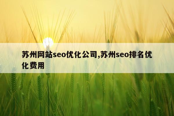 苏州网站seo优化公司,苏州seo排名优化费用
