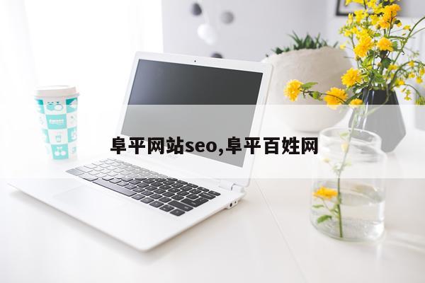 阜平网站seo,阜平百姓网