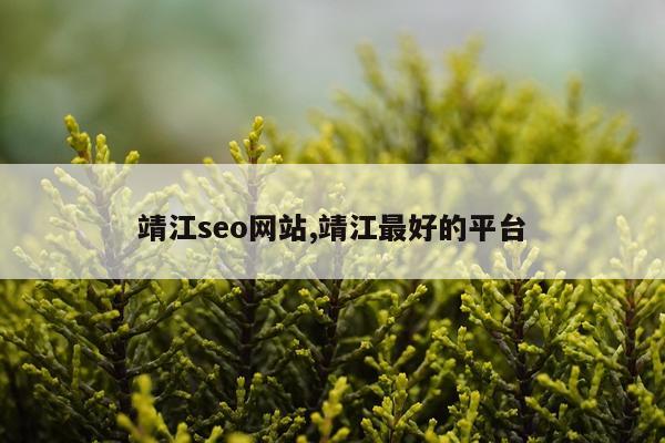 靖江seo网站,靖江最好的平台