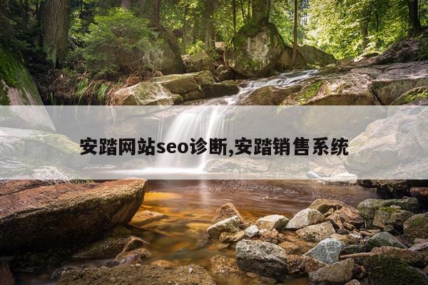 安踏网站seo诊断,安踏销售系统