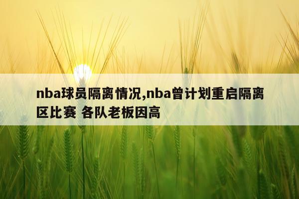nba球员隔离情况,nba曾计划重启隔离区比赛 各队老板因高
