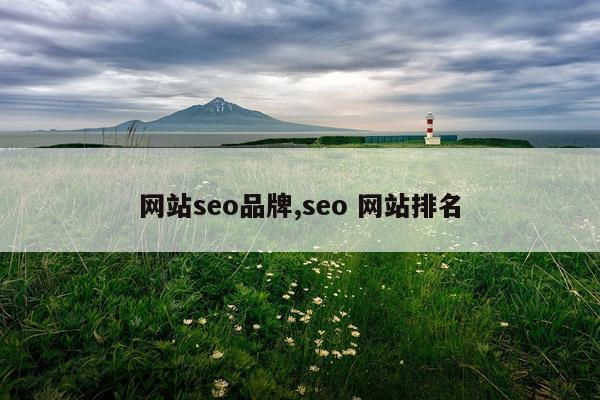 网站seo品牌,seo 网站排名