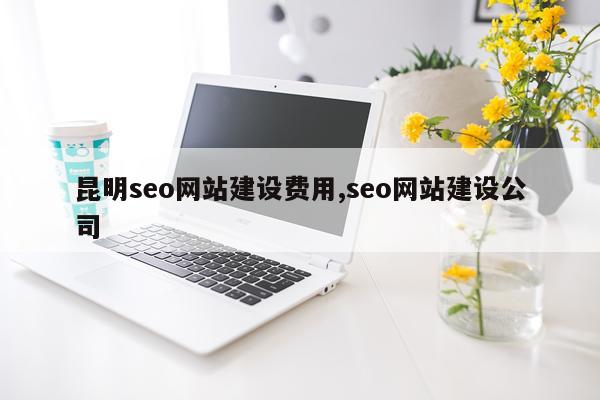昆明seo网站建设费用,seo网站建设公司