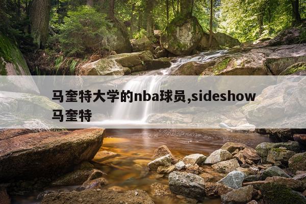 马奎特大学的nba球员,sideshow马奎特