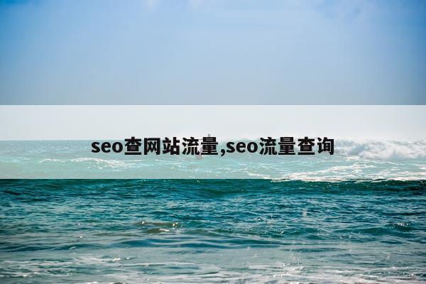 seo查网站流量,seo流量查询