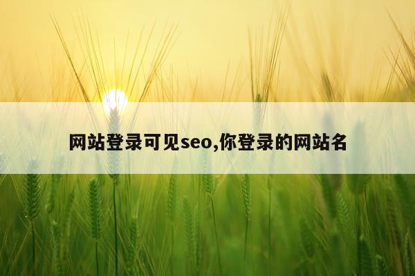 网站登录可见seo,你登录的网站名
