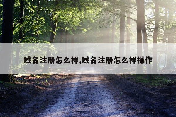 域名注册怎么样,域名注册怎么样操作
