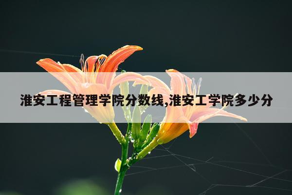 淮安工程管理学院分数线,淮安工学院多少分