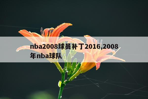 nba2008球员补丁2016,2008年nba球队