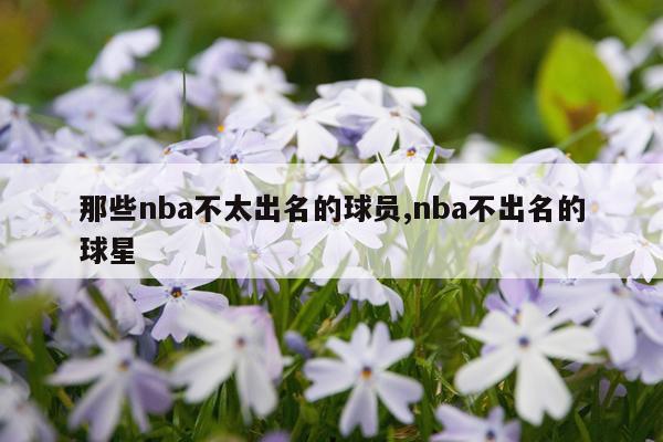 那些nba不太出名的球员,nba不出名的球星