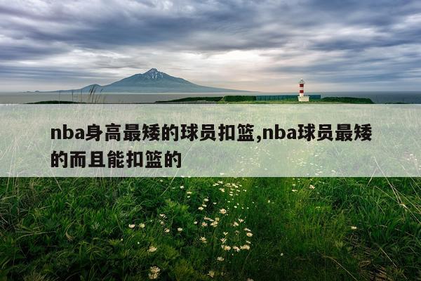 nba身高最矮的球员扣篮,nba球员最矮的而且能扣篮的