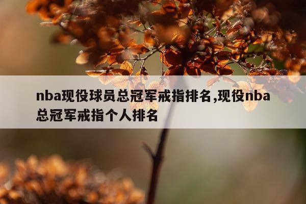 nba现役球员总冠军戒指排名,现役nba总冠军戒指个人排名